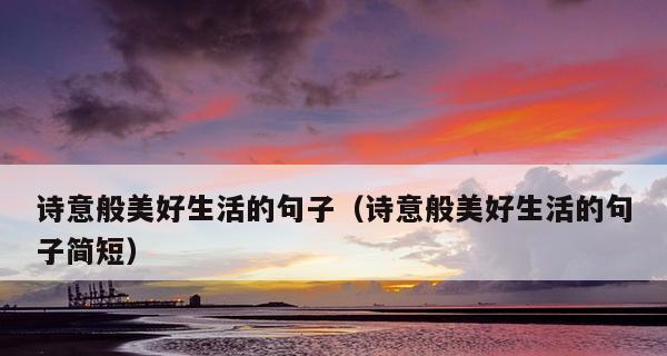花儿美的诗意世界（盛开的花海中）