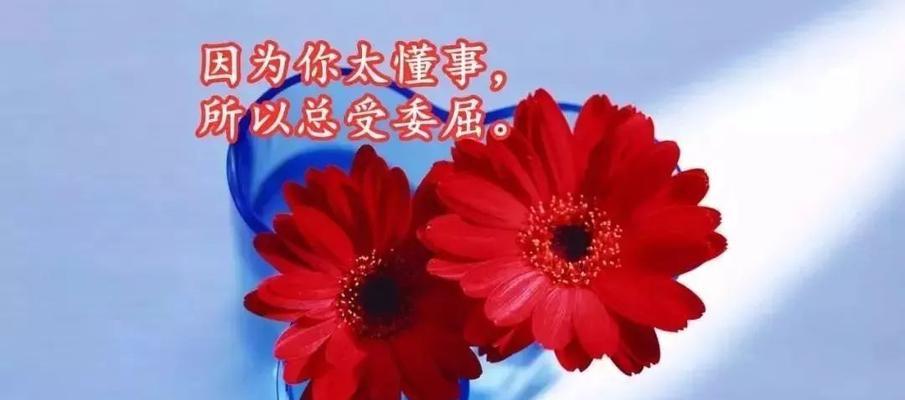 不平凡的2024年再见了（时光流转）