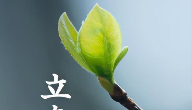 春天的味道（以虎年立春祝福语为主题的美好憧憬）