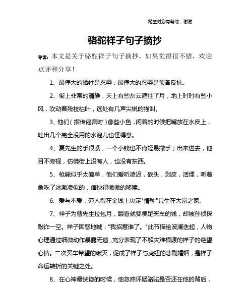 悔恨未迟——关于以后悔的句子赏析（唯美短句中的追悔与犹豫）