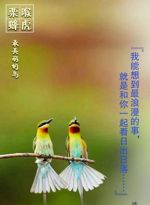 《以喉美：唯美短句经典赏析》