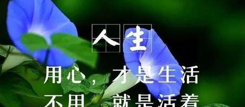 社会现实句子好句2023有哪些？如何运用到日常生活中？