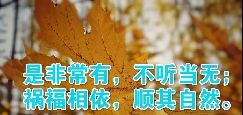 深夜失眠时如何找到人生感悟？好句有哪些帮助？