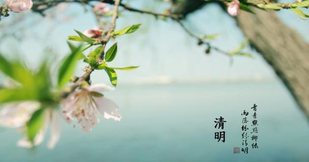 清明踏青朋友圈怎么发？2023年踏青说说有哪些创意？
