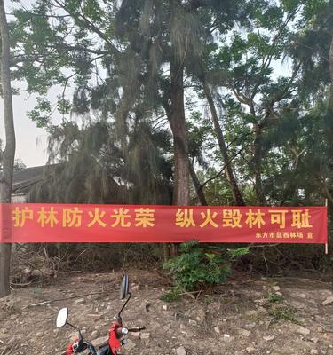 2023清明节如何做好扫墓防火宣传？有哪些有效的宣传用语？