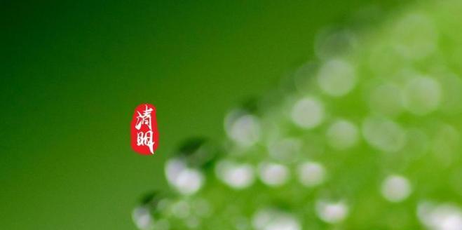 清明节朋友圈唯美句子怎么发？2023年流行哪些？