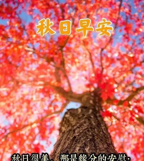 2023清晨一句简单的问候是什么？如何正确表达？