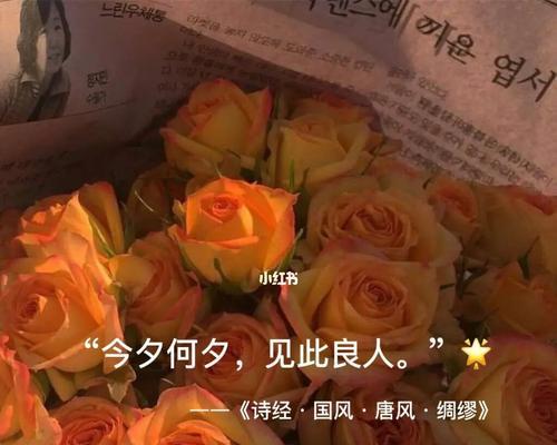 圣诞节发朋友圈用哪些甜甜的好句？如何挑选适合节日氛围的句子？