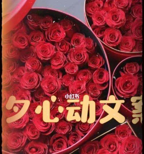 2023七夕如何走心表白？有哪些创意表白说说推荐？
