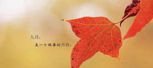 十一月第一天发的朋友圈好句是什么？如何挑选适合的句子？