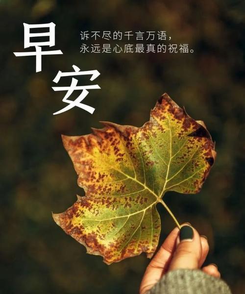 十一月第一天发的朋友圈好句是什么？如何挑选适合的句子？