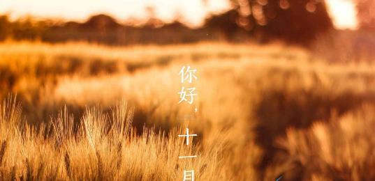 十一月你好励志唯美好句2023有哪些？如何用它们激励自己？