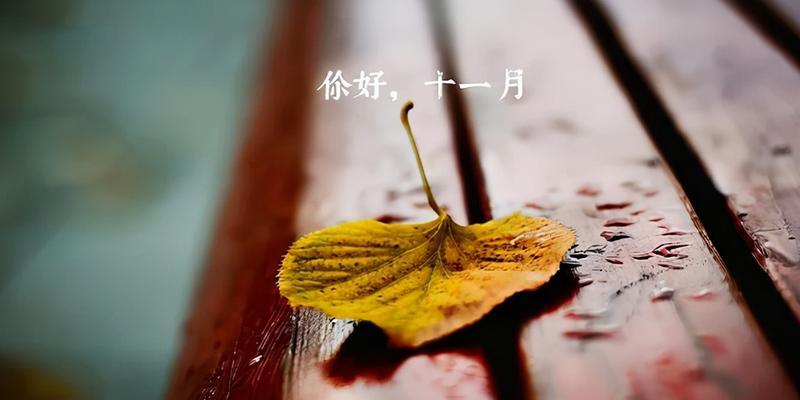 十一月你好热门好句有哪些？如何在十一月找到最流行的祝福语？