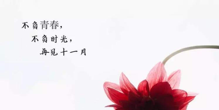 十一月你好热门好句有哪些？如何在十一月找到最流行的祝福语？