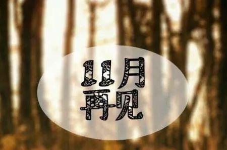 十一月再见十二月你好说说朋友圈好句？如何用一句话表达对十一月的告别和对十二月的欢迎？