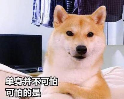2023七夕节如何整蛊朋友？搞笑说说有哪些？