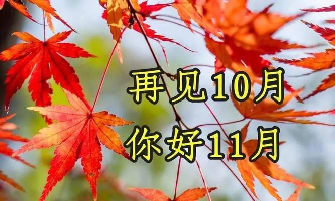 十月再见十一月你好朋友圈好句怎么发？有哪些精选句子推荐？