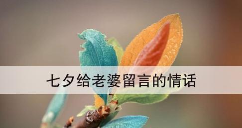 2023七夕节如何用情话打动TA？最浪漫的表白短句有哪些？
