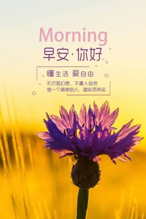 适合2023三月的早安语好句有哪些？最新早安问候语怎么选？