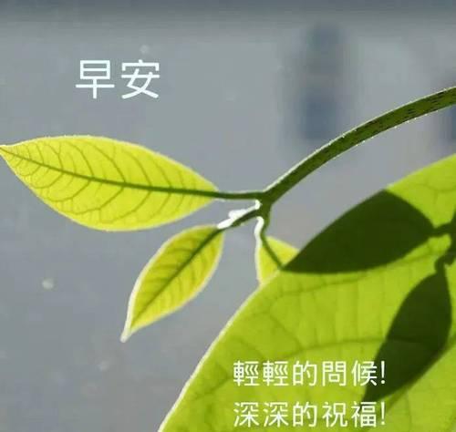 适合2023三月的早安语好句有哪些？最新早安问候语怎么选？