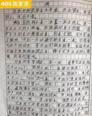 我和我的动物朋友（探秘小世界）