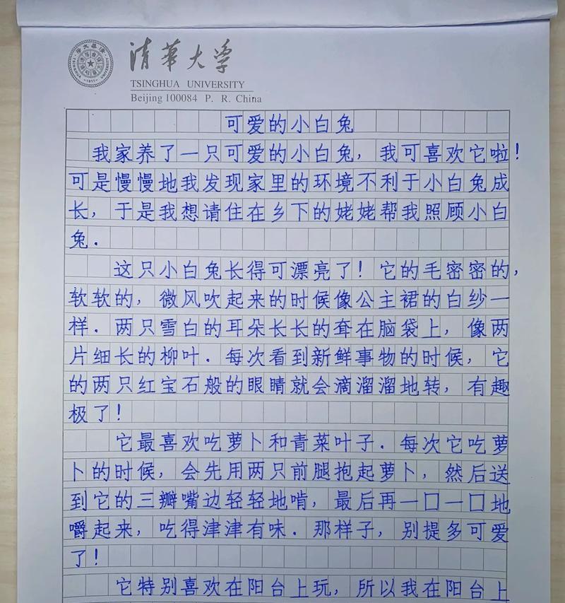 我和我的动物朋友（探秘小世界）