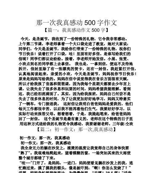 感动的人生旅程（她）