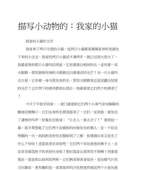 小动物的奇妙冒险（一只兔子的自我救赎）