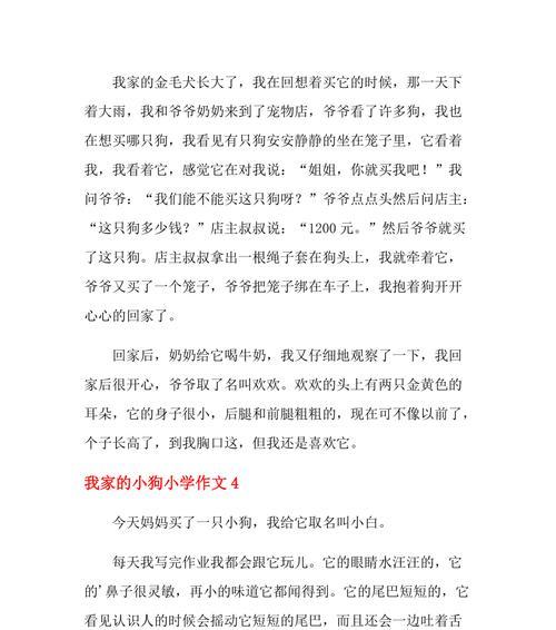 小狗的陪伴——小白的故事（忠诚）