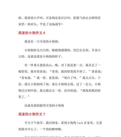 小狗的陪伴——小白的故事（忠诚）