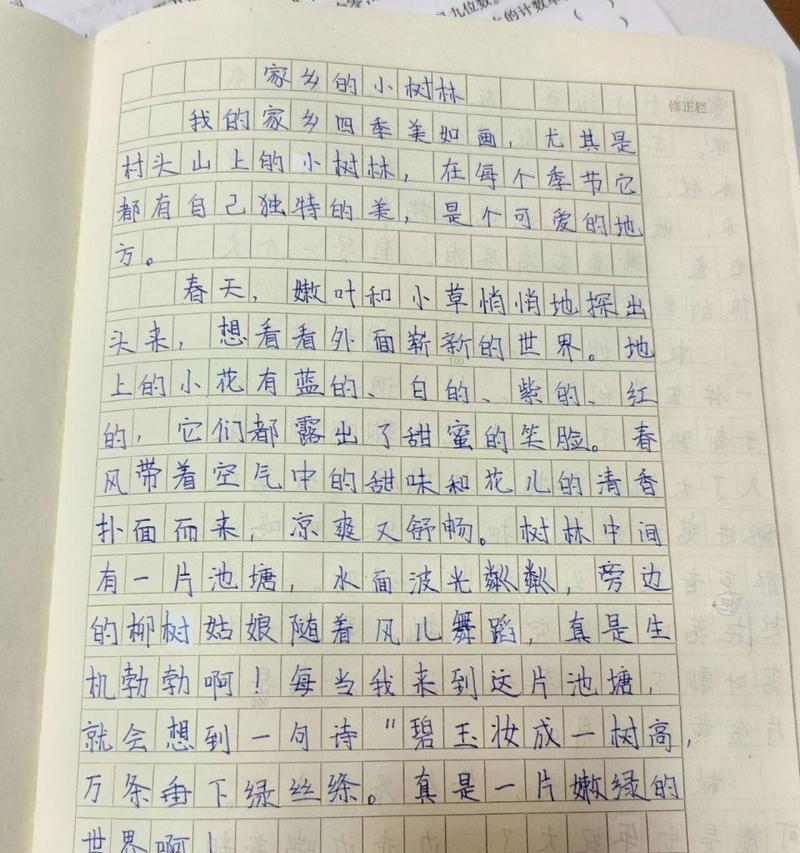 春夏秋冬的故事（春夏秋冬的故事）