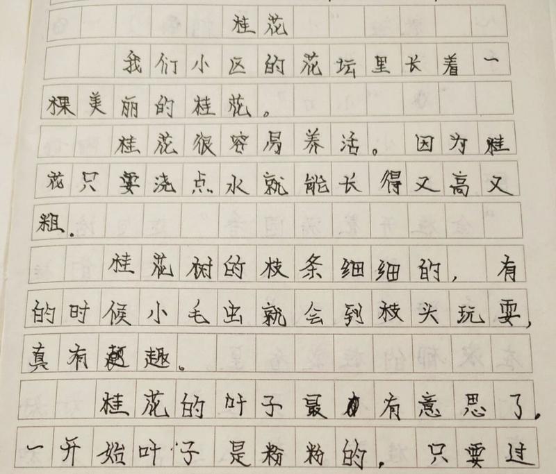 一场独特的邂逅（一场独特的邂逅）