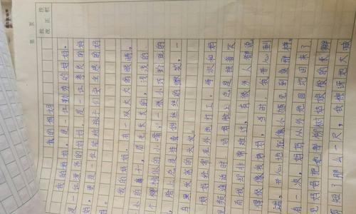 在寒冬中寻找温暖（在寒冬中寻找温暖）