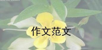 我的美丽人生