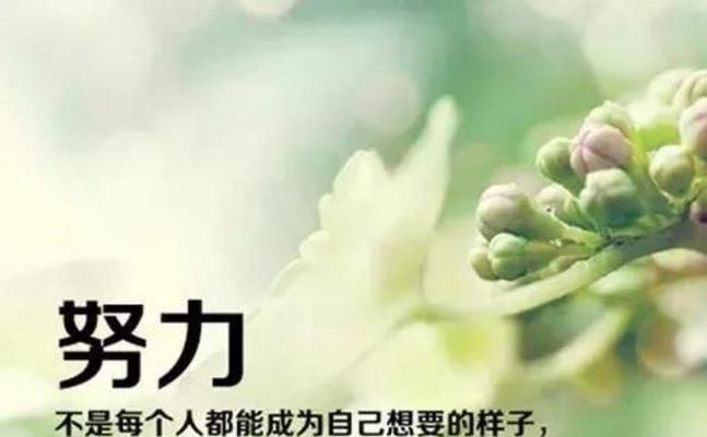 人生奋斗哲理名言有哪些？如何在日常生活中应用？
