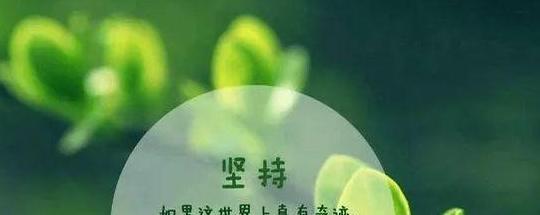 人生奋斗经典哲理名言警句有哪些？如何在日常生活中应用？