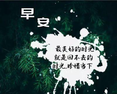 人生的优美经典句子有哪些？如何在日常生活中应用？