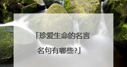 人生的意义是什么名言警句？如何通过名言找到生活方向？