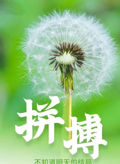 人生的路不好走的名言警句有哪些？如何在困境中找到方向？