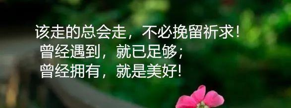人生超有哲理的句子有哪些？如何在生活中应用这些哲理？