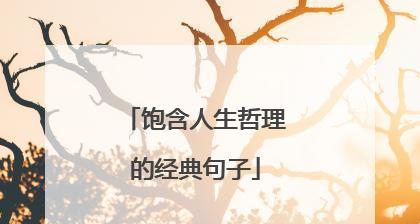 人生不必太计较的好句有哪些？如何在日常生活中应用这些智慧？