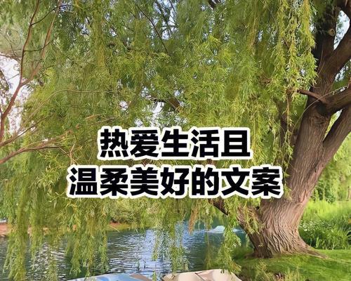 热爱生活的美好句子有哪些？如何用它们提升日常幸福感？