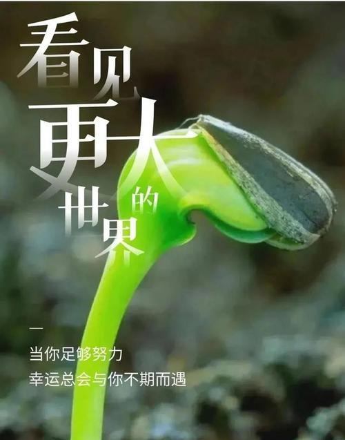 如何找到让自己坚强的霸气句子？这些句子有哪些特点？