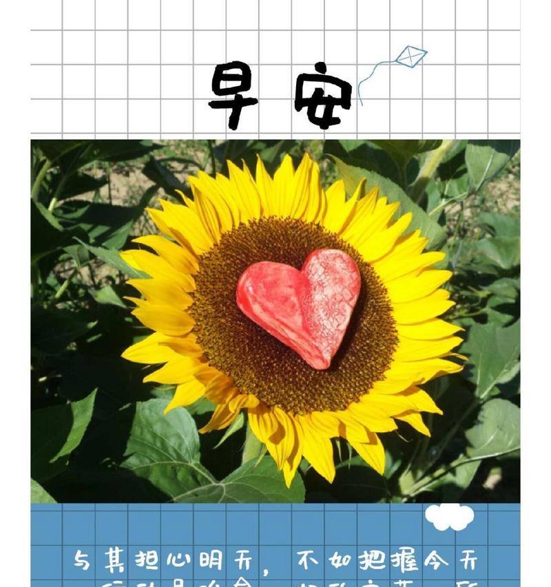 如何用暖心的句子温暖他人？暖心句子有哪些常见问题？