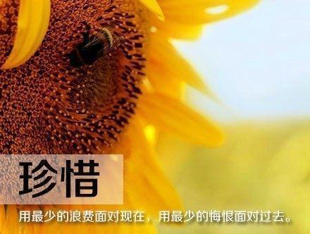 九月励志说说致自己2023怎么写？有哪些热门话题？