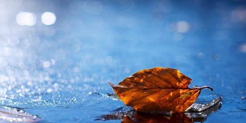 秋雨句子唯美短句子有哪些？如何在秋雨中寻找诗意？