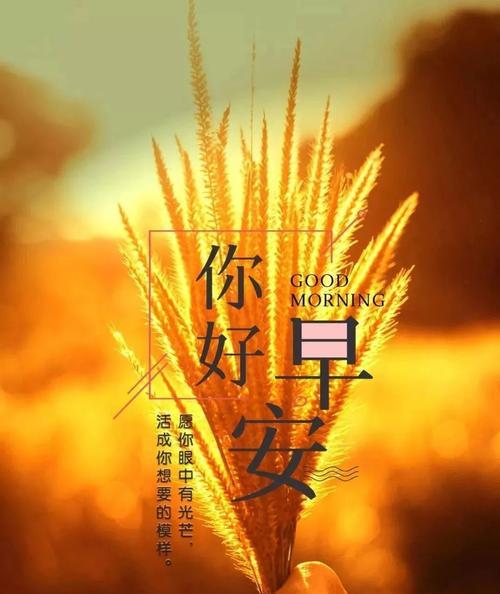秋天早安心语正能量一句话朋友圈问候语是什么？如何用一句话传递温暖？