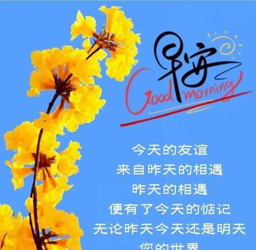秋天早安心语正能量一句话朋友圈问候语是什么？如何用一句话传递温暖？