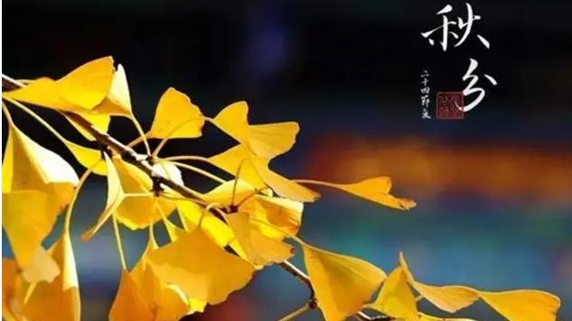 秋天适合发朋友圈的短句子有哪些？如何用一句话表达秋天的美？