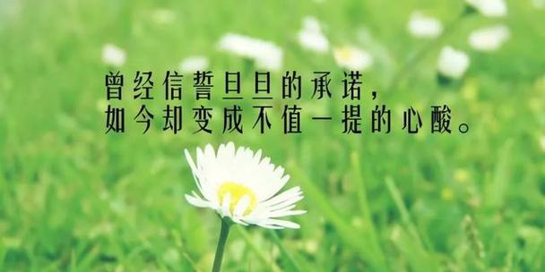 秋天感悟生活心情说说？如何在秋日里找到心灵的宁静？